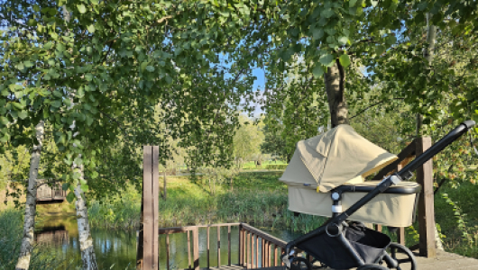 Обзор детской коляски Bugaboo Fox Cub