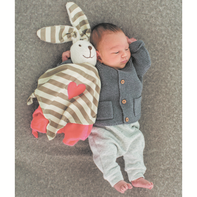 HAPE Серия Пастель - Игрушка для новорожденных "Кролик", розовый E8504_HP