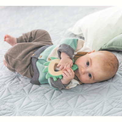 HAPE Серия Пастель Игрушка для новорожденных прорезыватель "Ежик" E8508_HP