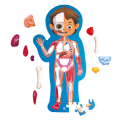 HAPE Детский пазл-игрушка "Как устроено тело человека", 60 элементов в кейсе E1635_HP