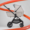 Коляска Anex IQ 2 в 1